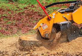 Best Tree Preservation Services  in Swanton, OH